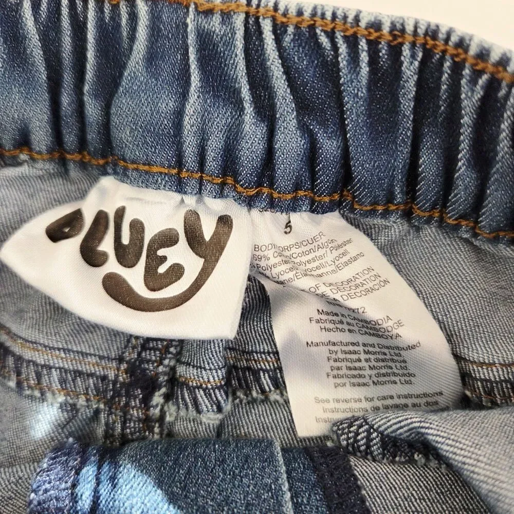 Bluey girls 5t